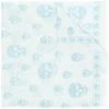 Alexander McQueen skull embroidered scarf