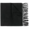 Alexander McQueen fringed scarf