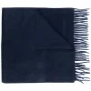Alexander McQueen embroidered logo scarf