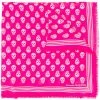 Alexander McQueen skull print shawl