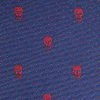 Alexander McQueen Skull embroidered silk tie