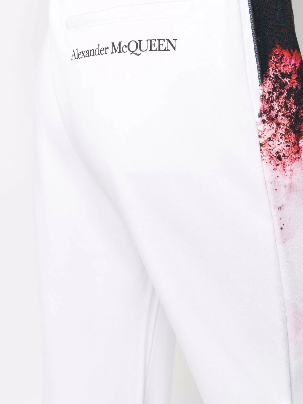 Alexander McQueen Anemome print track pants 5 Alexander McQueen Anemome-print track pants